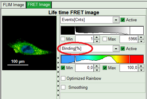 flim-fret-1expd_bindingimage_bearb.png