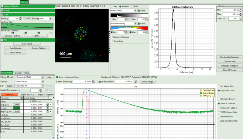 flim-fret-multiexpd_analysis_flim.png