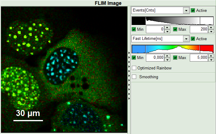 flim-fret-multiexpd_fastflim_enhancedcontrast.png